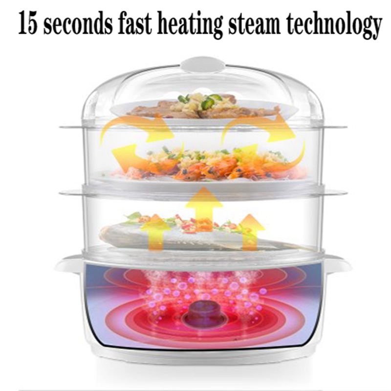 I-TONZE Electric Food steamer (1)